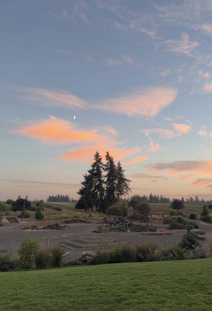 Trail Course at Sunset